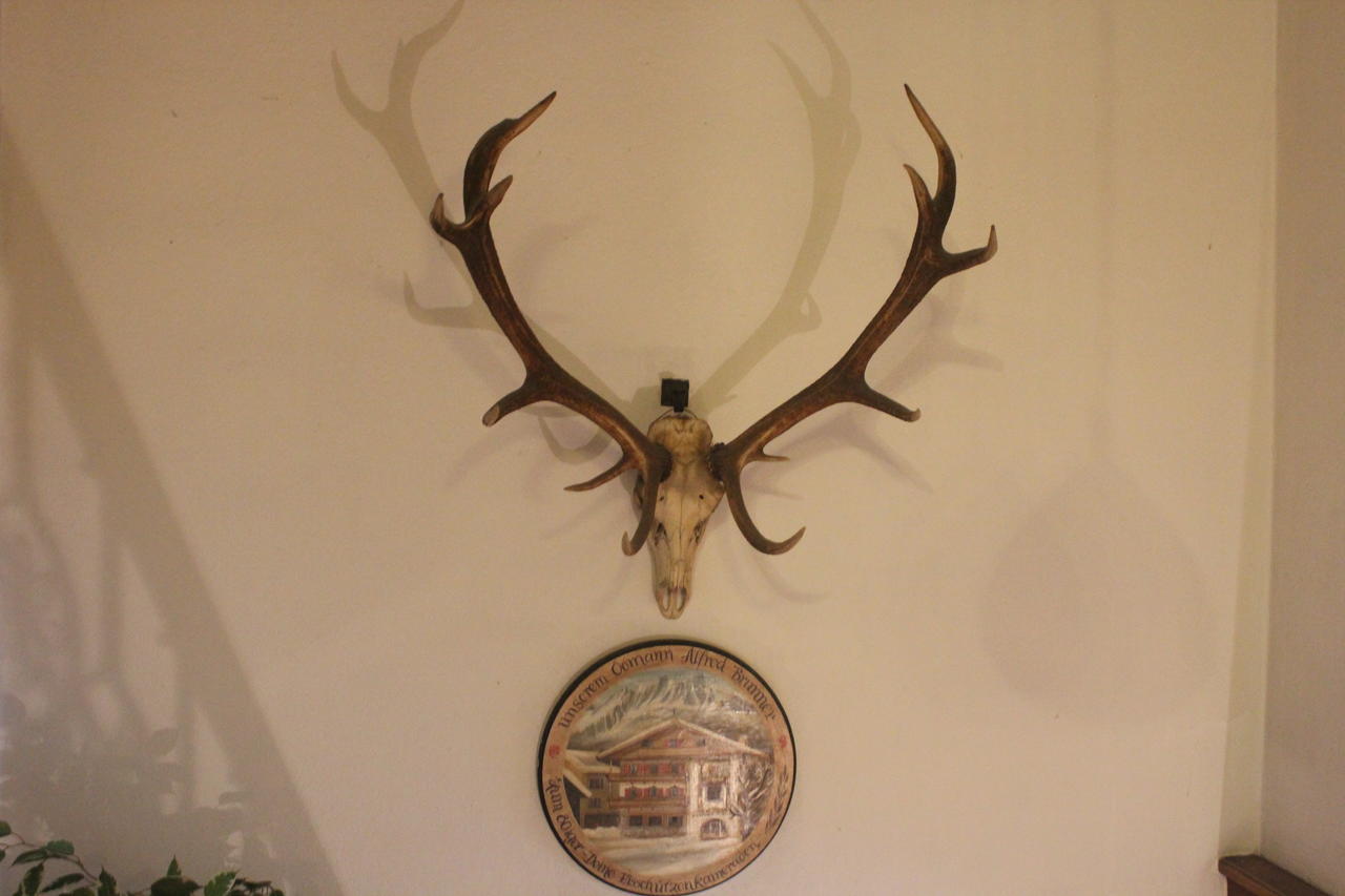 Gasthof Mauth Ξενοδοχείο Sankt Johann in Tirol Εξωτερικό φωτογραφία